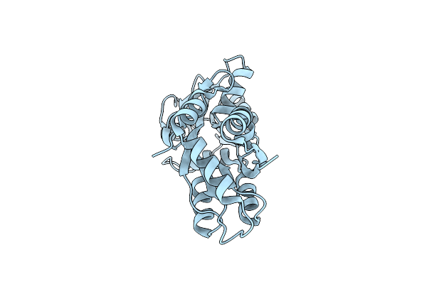 5MY5 image