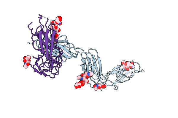 5MYA image