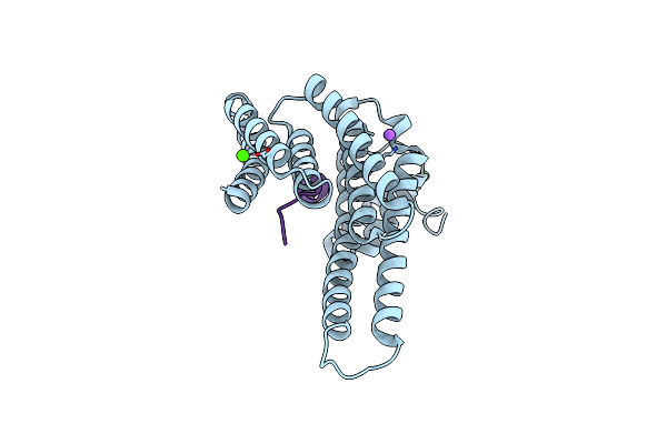 5MYC image