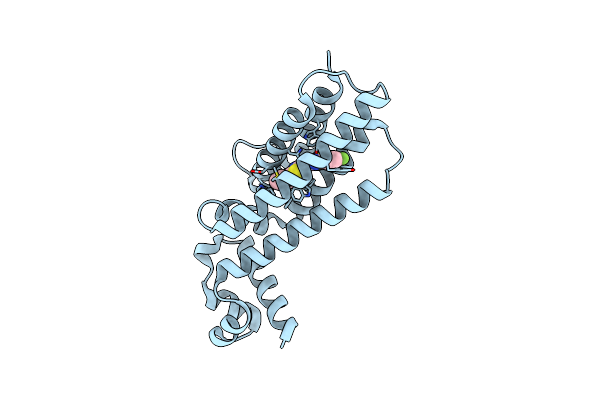 5MYR image