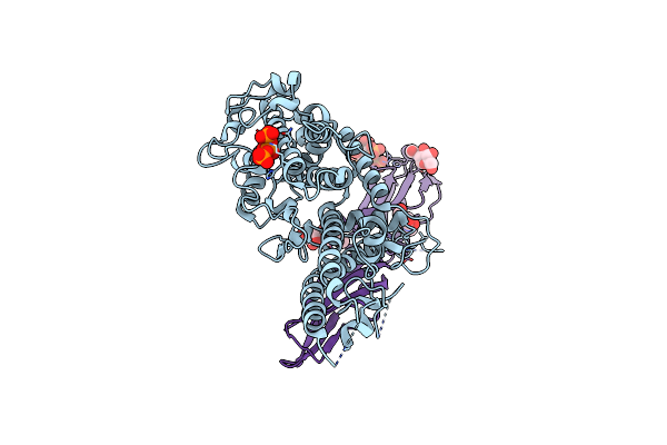 5MZA image