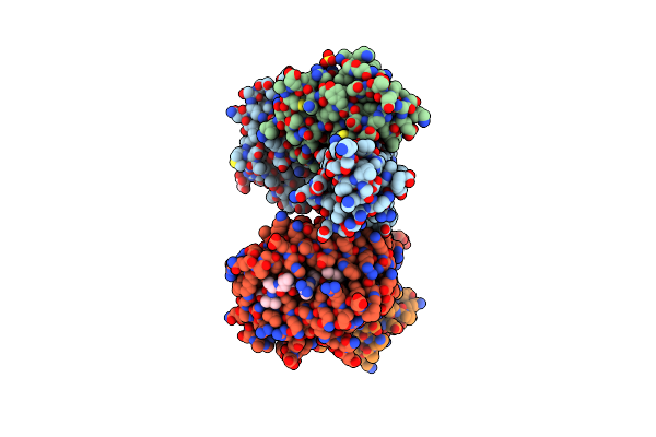 5MZM image