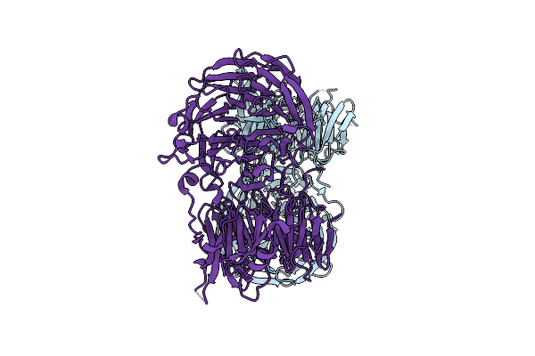 5N1A image