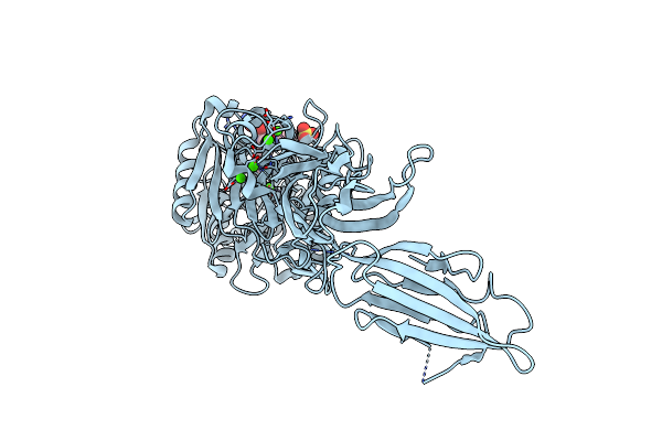 5N1B image