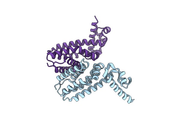 5N1C image