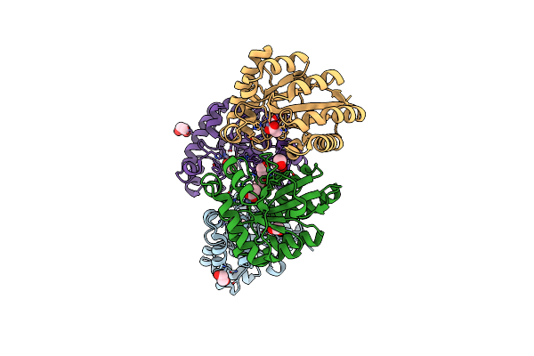 5N1J image