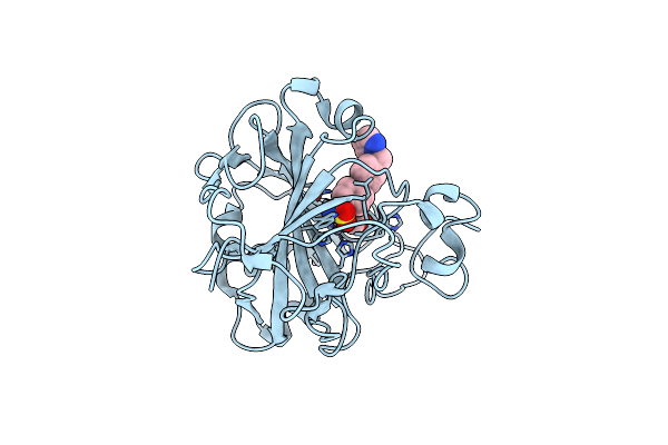 5N1R image