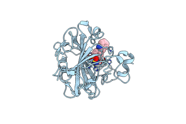 5N1S image