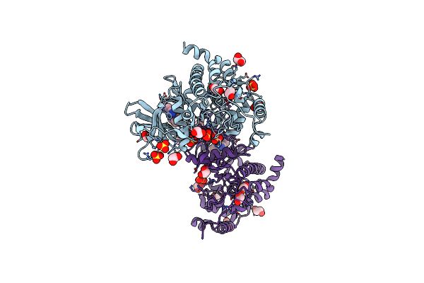 5N1V image