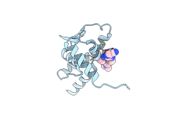 5N20 image