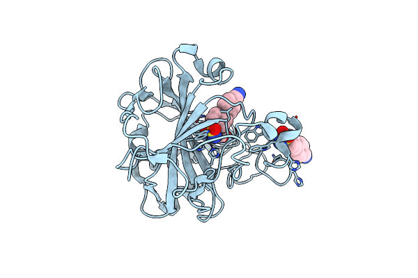 5N24 image