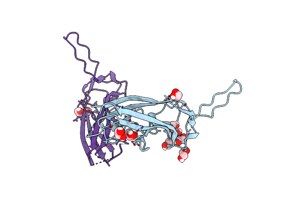 5N2B image