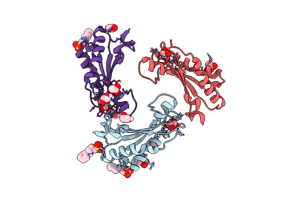 5N2C image