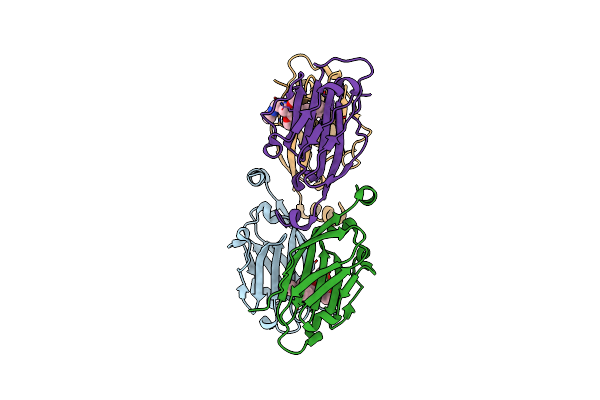 5N2D image