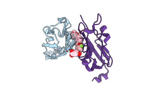 5N2F image