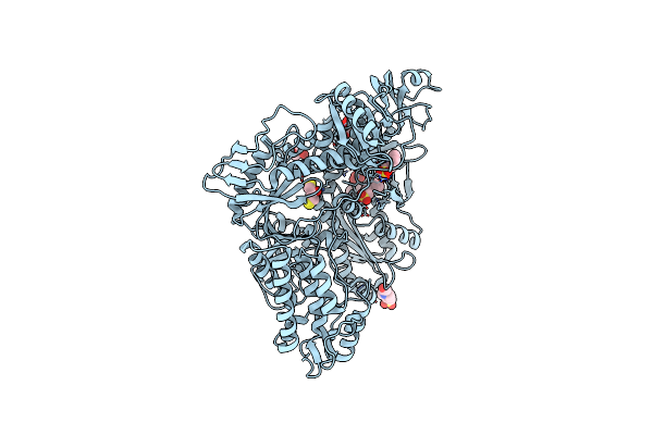 5N2H image