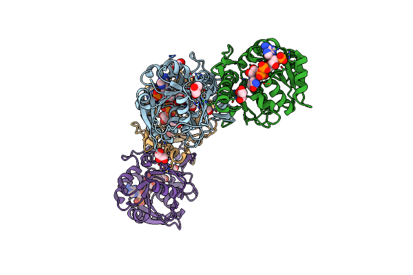 5N2I image