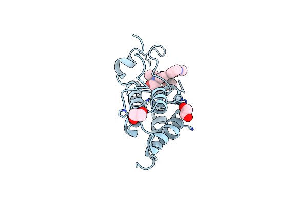 5N2M image