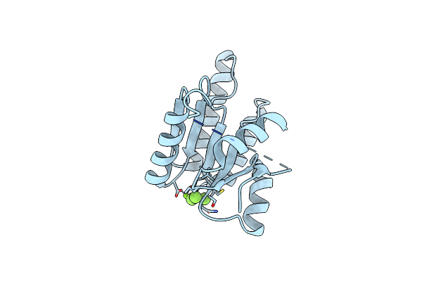 5N2N image