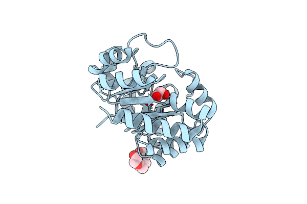 5N2P image