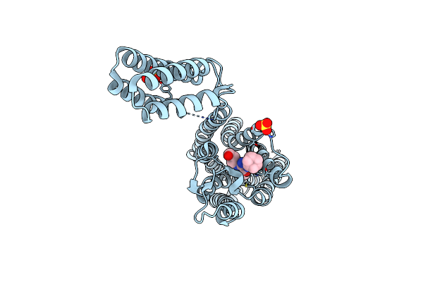 5N2S image