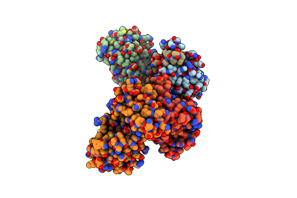 5N2V image