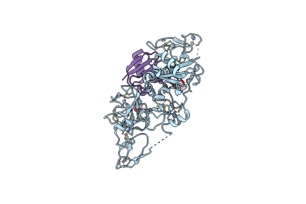 5N2W image