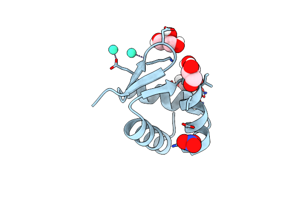 5N35 image