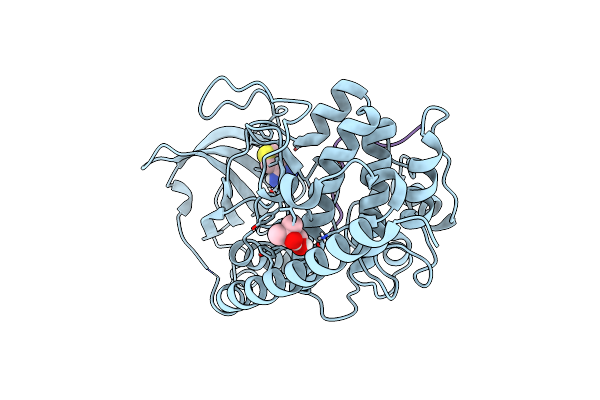 5N3C image