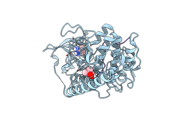 5N3D image