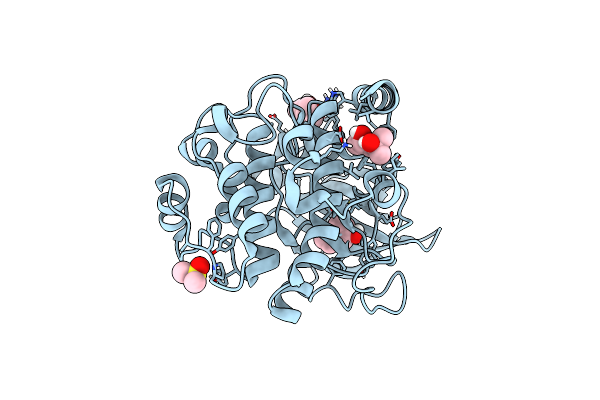 5N3P image