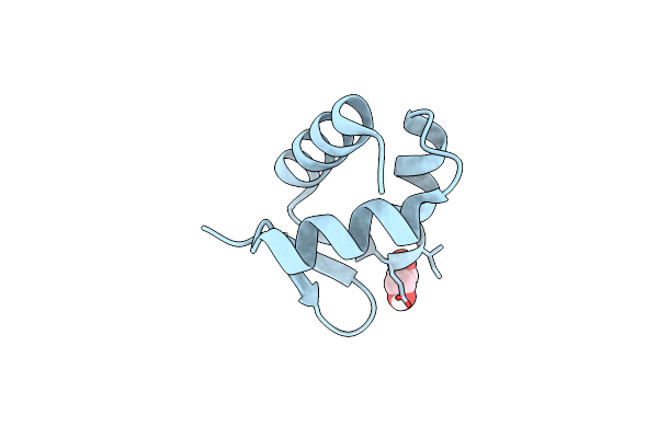 5N41 image