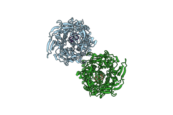 5N4B image