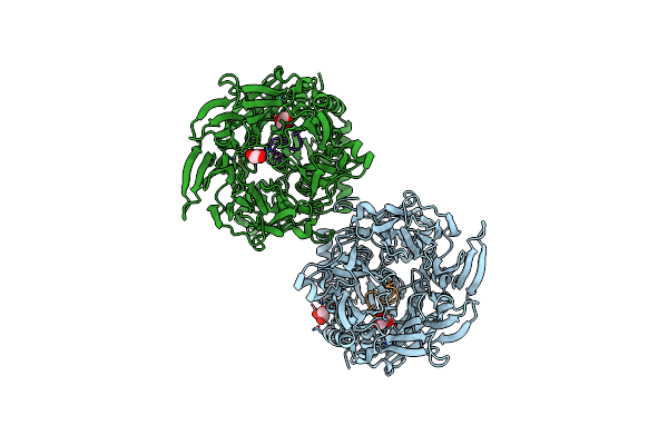 5N4D image