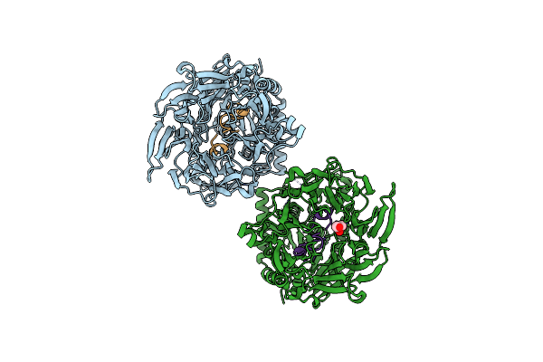 5N4E image