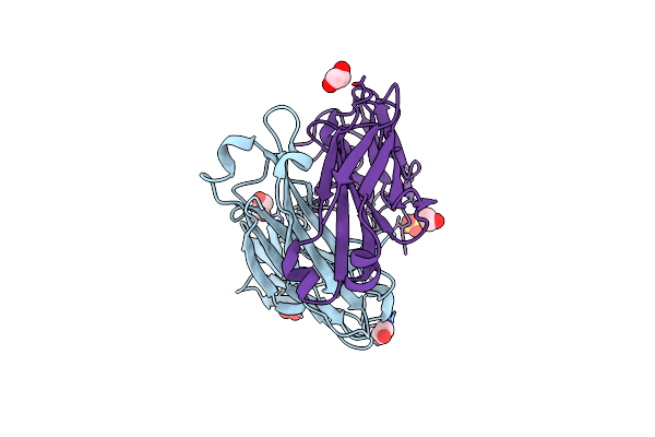5N4G image