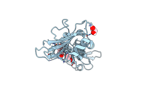 5N4H image