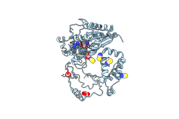 5N4I image