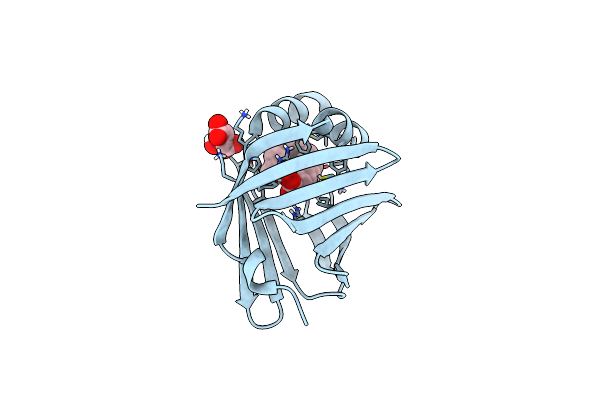 5N4M image