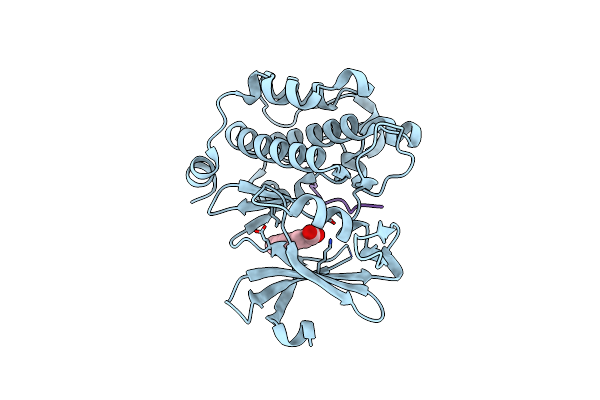 5N4O image