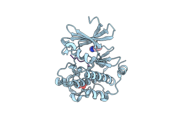 5N4R image