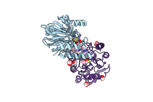 5N4S image