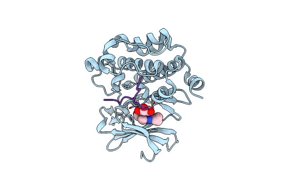5N4V image