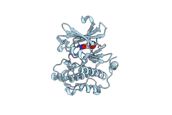 5N4X image