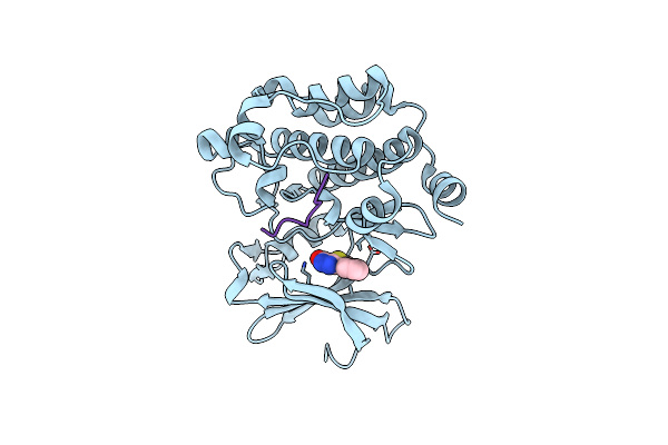 5N4Y image