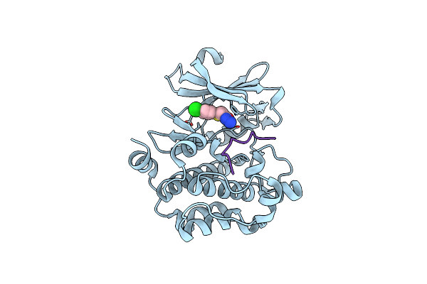 5N50 image