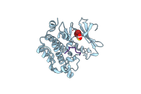 5N51 image