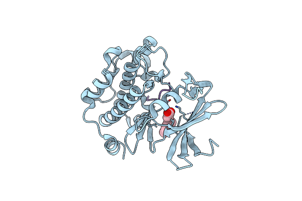 5N52 image