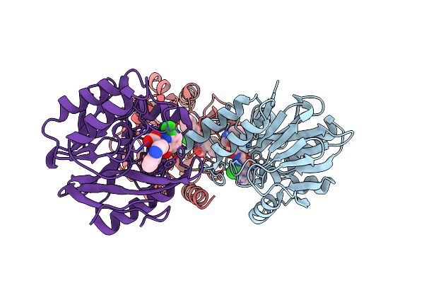 5N55 image
