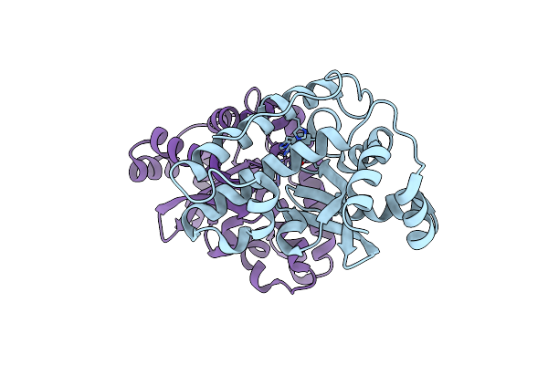 5N56 image